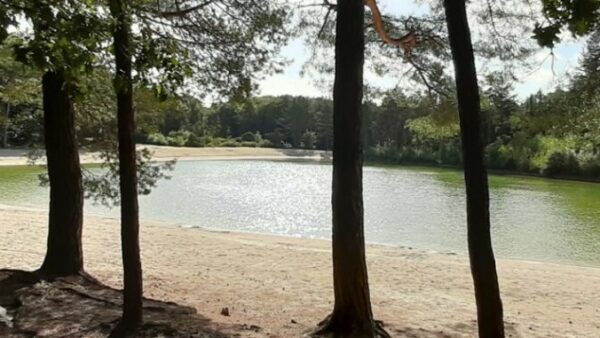 Zwemplas