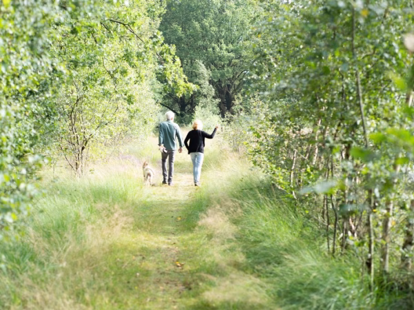 Sportief & actief