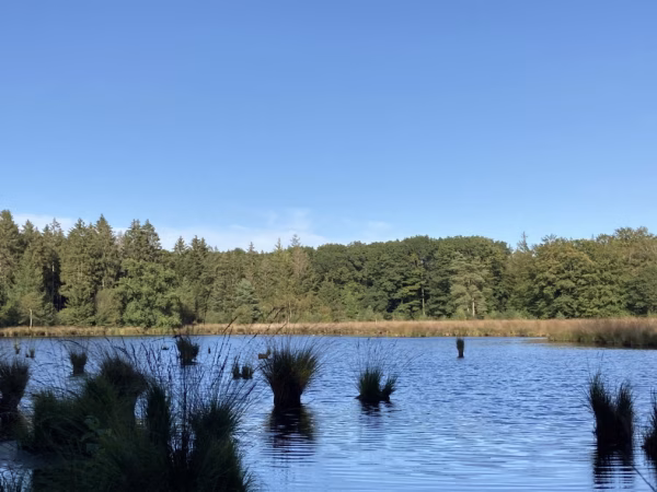 De natuur in