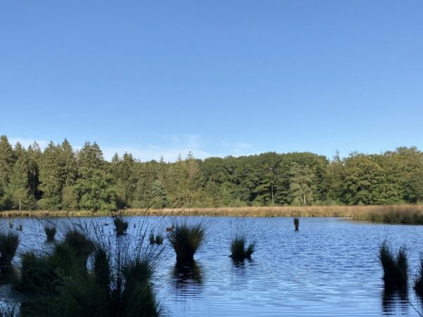 De natuur in