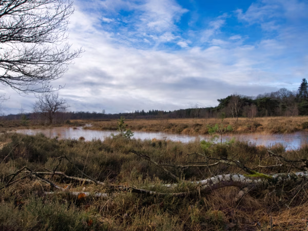 omgeving camping elperhof