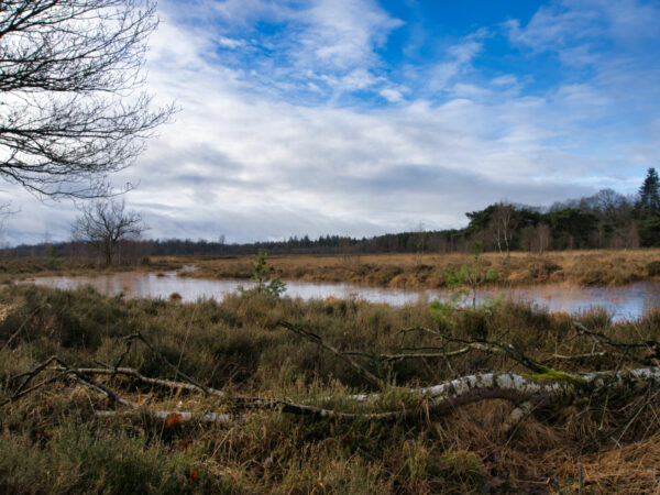 omgeving camping elperhof