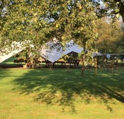 t_IMG_0205_1