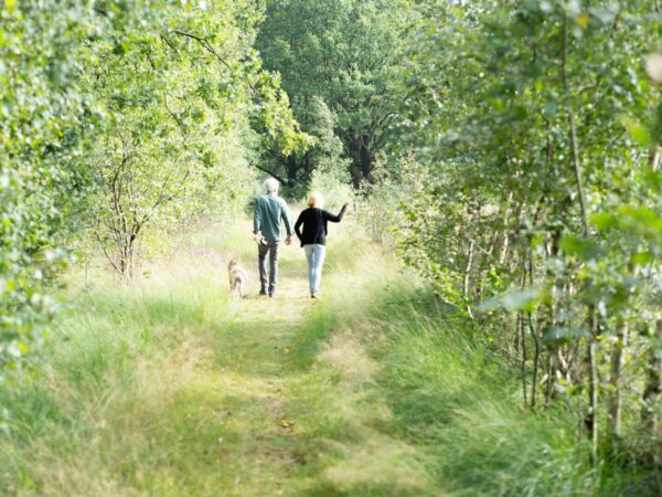 wandelen in Drenthe